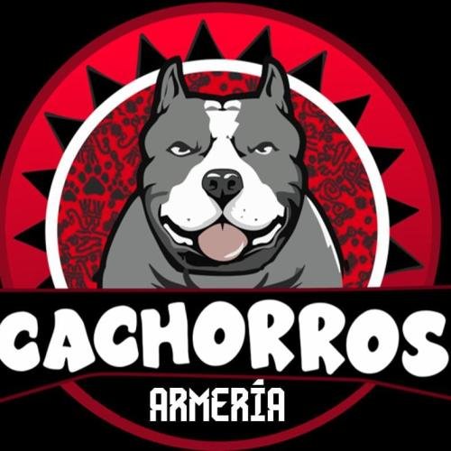 Cachorros